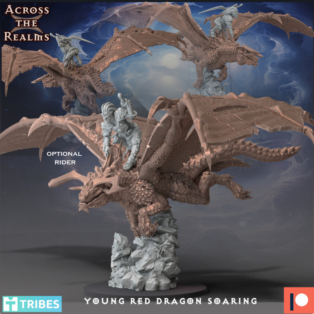 Young Red Dragon Soaring - Across the Realms - Miniatures by Only-Games.co