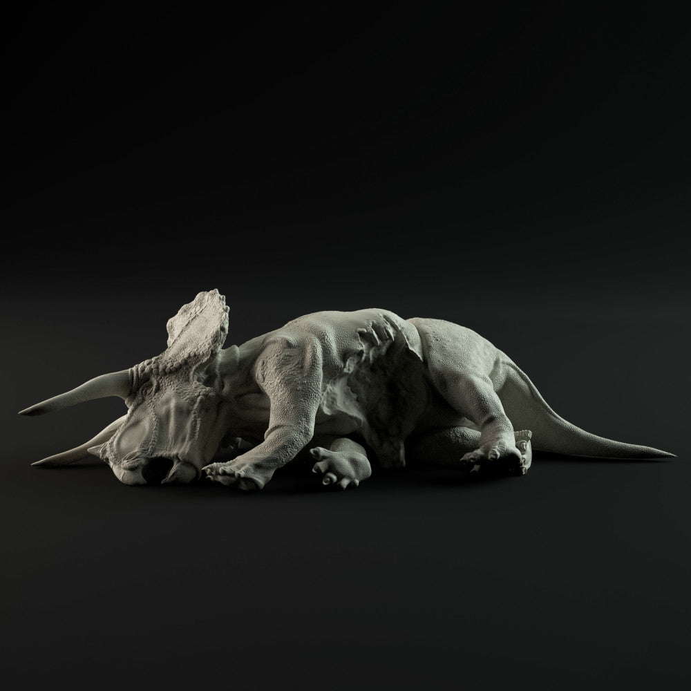 AMITD Dinosaur Museums Series – Triceratops Doyle 1:35 – Modelo Científico De Arte De ZHAO Chuang – Plástico