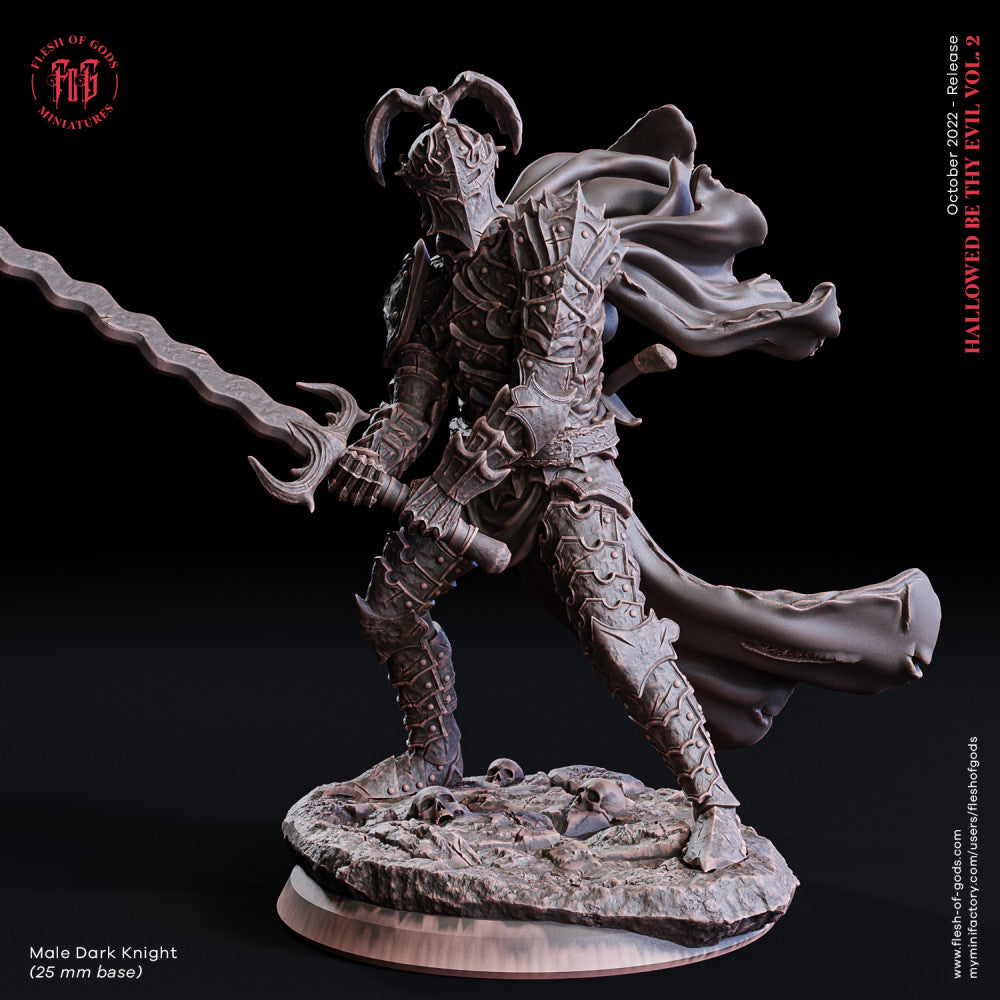 Male Dark Knight - Flesh Of Gods - Miniatures by Only-Games.co