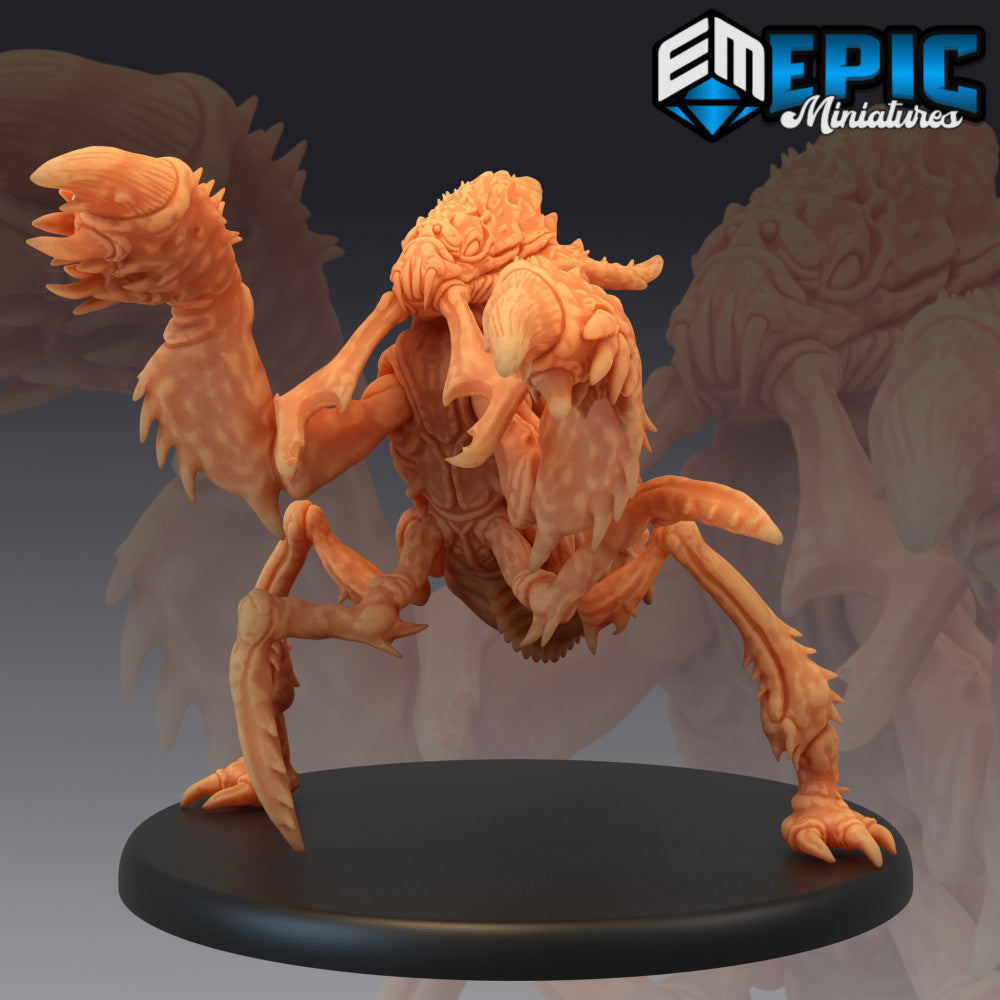 Ankheg / Forest Monster / Underground Insect / Burying Creature - Epic  Miniatures - Miniatures by Only-Games.co