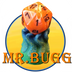 Mr. Bugg