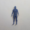 Anatomical Model - Only-Games