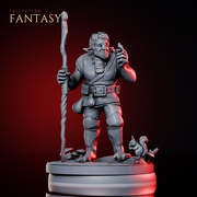 Firbolg Druid - Only-Games