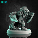 (0212) Male goblin warrior with complete armor sword and shield - Only-Games
