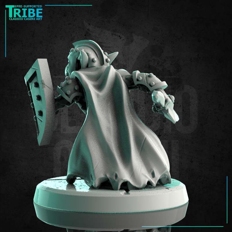 (0212) Male goblin warrior with complete armor sword and shield - Only-Games