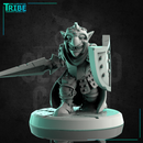 (0212) Male goblin warrior with complete armor sword and shield - Only-Games