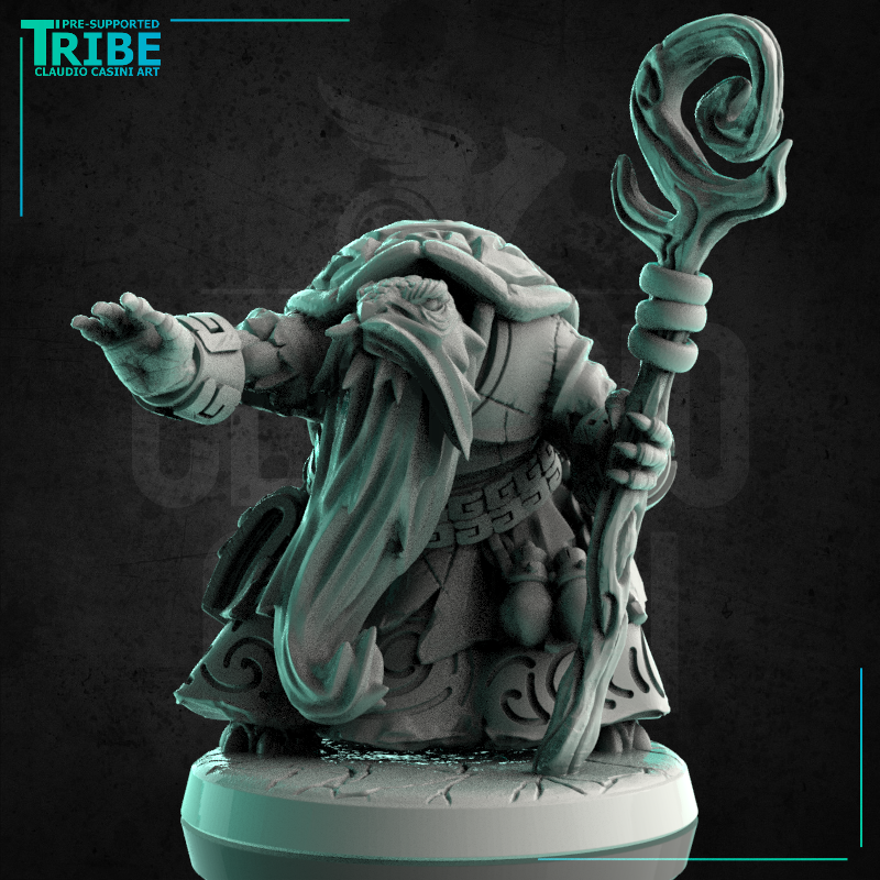 (0231) Male turtle folk summoner wizard druid with a magic stick - Only-Games