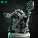 (0231) Male turtle folk summoner wizard druid with a magic stick - Only-Games