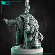 (0231) Male turtle folk summoner wizard druid with a magic stick - Only-Games