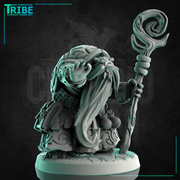 (0231) Male turtle folk summoner wizard druid with a magic stick - Only-Games