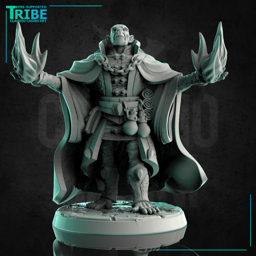 (0238) Male monkey folk monkey man wizard magician evocator with spells - Only-Games