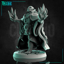 (0238) Male monkey folk monkey man wizard magician evocator with spells - Only-Games