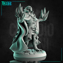 (0238) Male monkey folk monkey man wizard magician evocator with spells - Only-Games