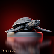 Giant Sea Turtle 1 - Only-Games