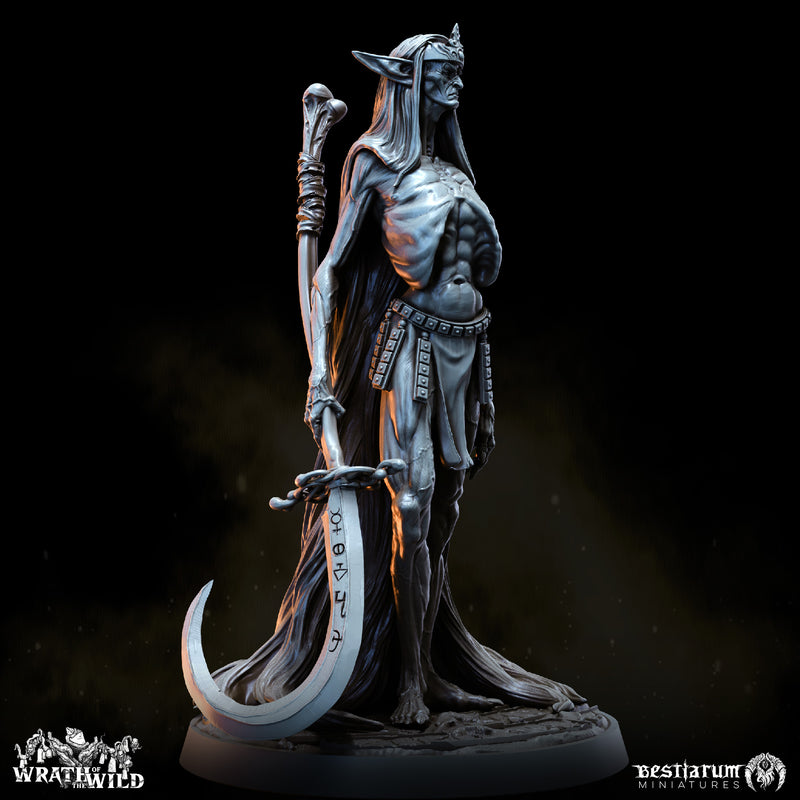 Wood Elf Remnant - Only-Games