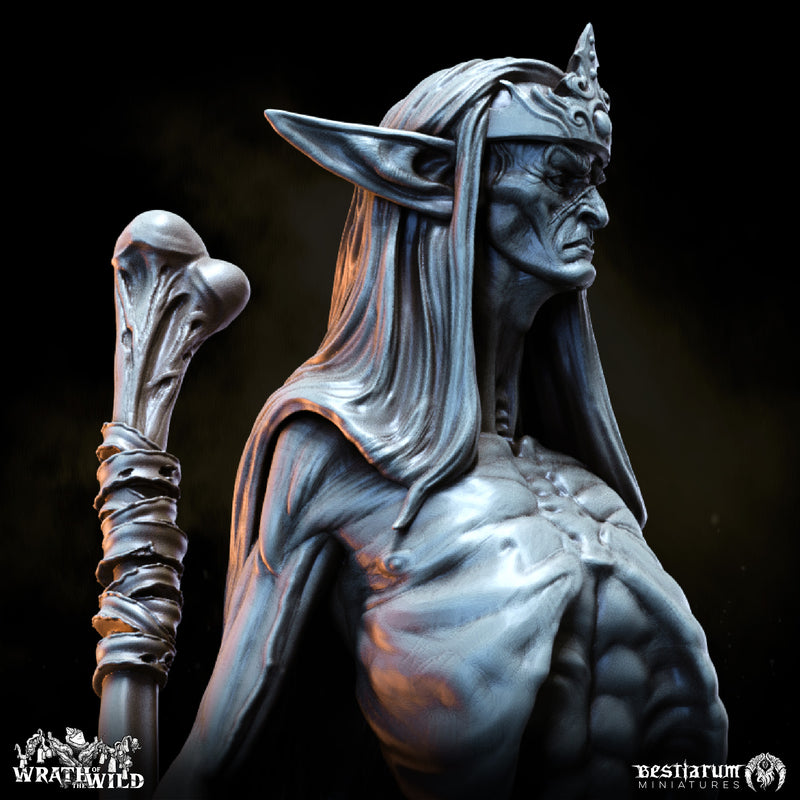 Wood Elf Remnant - Only-Games