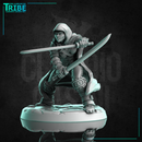 (0250) Female human elf tiefling half-orc firbolg assassin rogue thief with two swords or knives - Only-Games