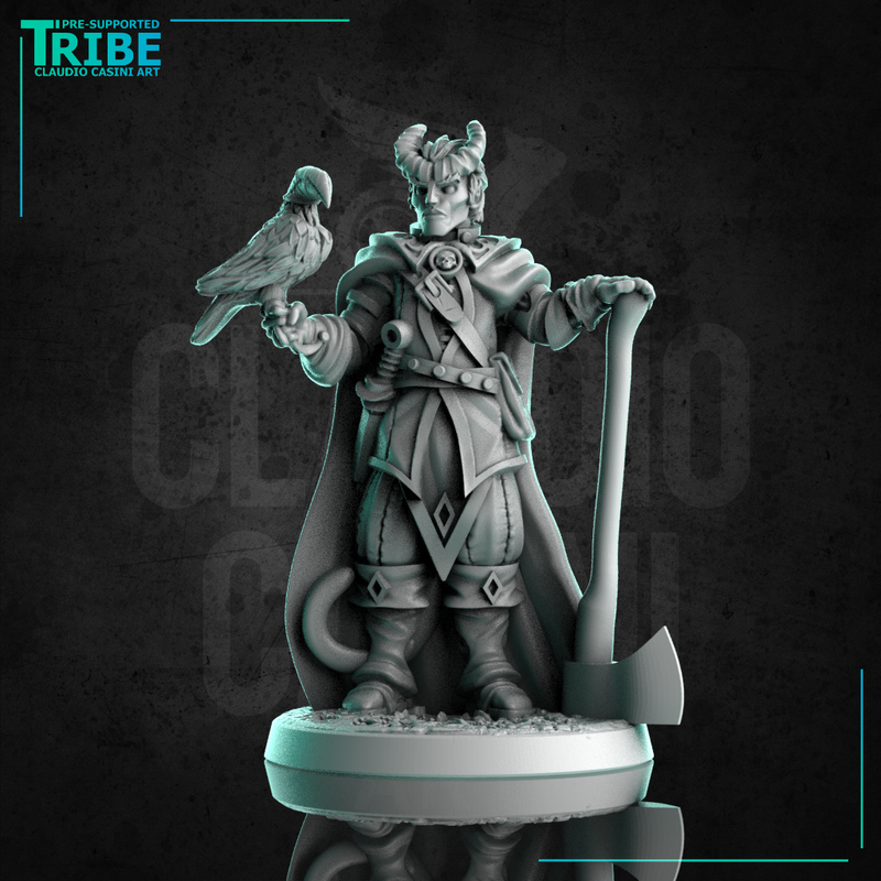 (0305) Male human elf firbolg tiefling half orc ranger hunter with hawk and axe - Only-Games