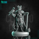 (0305) Male human elf firbolg tiefling half orc ranger hunter with hawk and axe