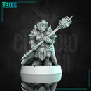 (0319) Female dwarf paladin cleric with complete armor mace or halberd