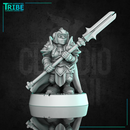 (0319) Female dwarf paladin cleric with complete armor mace or halberd