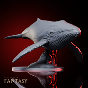 Humpback Whale - Only-Games
