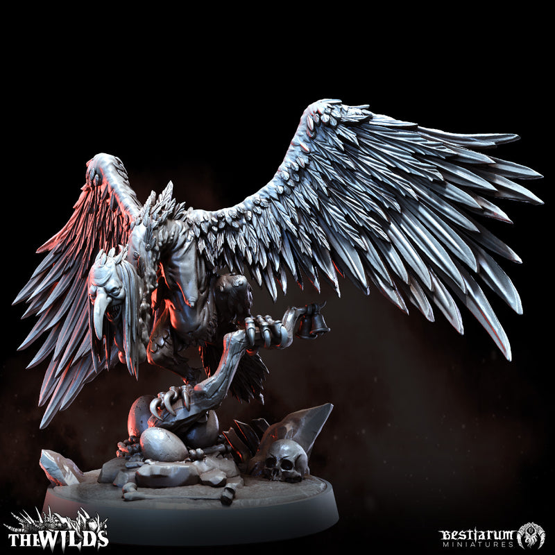 Twisted Harpy Flock | Bestiarum | Wargaming DnD Miniatures - Only-Games