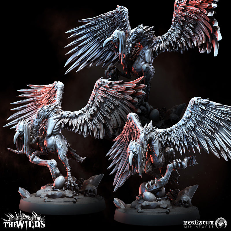 Twisted Harpy Flock | Bestiarum | Wargaming DnD Miniatures - Only-Games