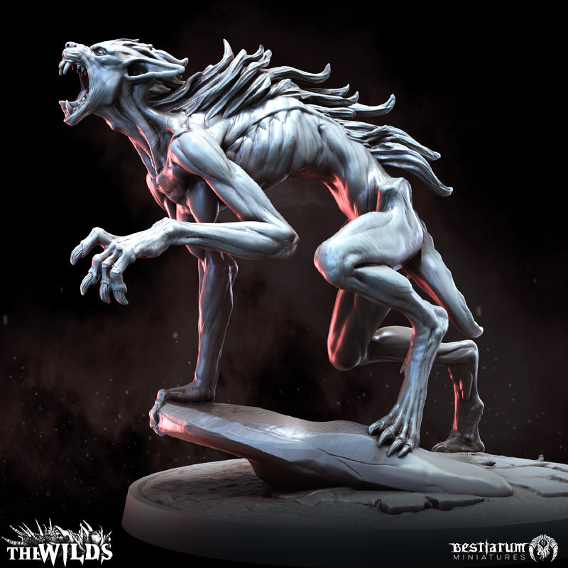 Feral Werewolves | Bestiarum | Wargaming DnD Miniatures - Only-Games