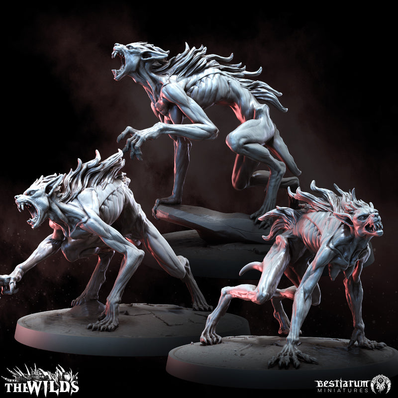 Feral Werewolves | Bestiarum | Wargaming DnD Miniatures - Only-Games