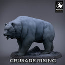 Templar Bear 03 Wild - Only-Games