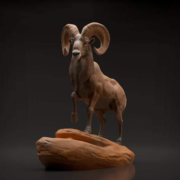 Bighorn Ram 1/35