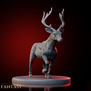Deer 2 - Only-Games