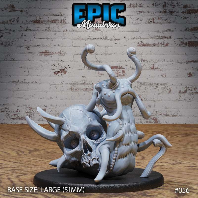 Carrion Snail Set - Only-Games