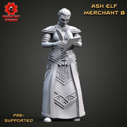 Ash Elf Merchant B - Only-Games