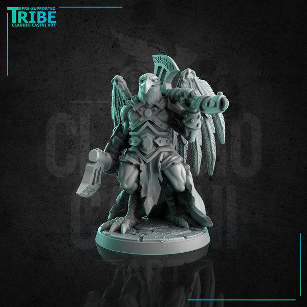 (0279) Male crow bird folk barbarian warrior with two axes