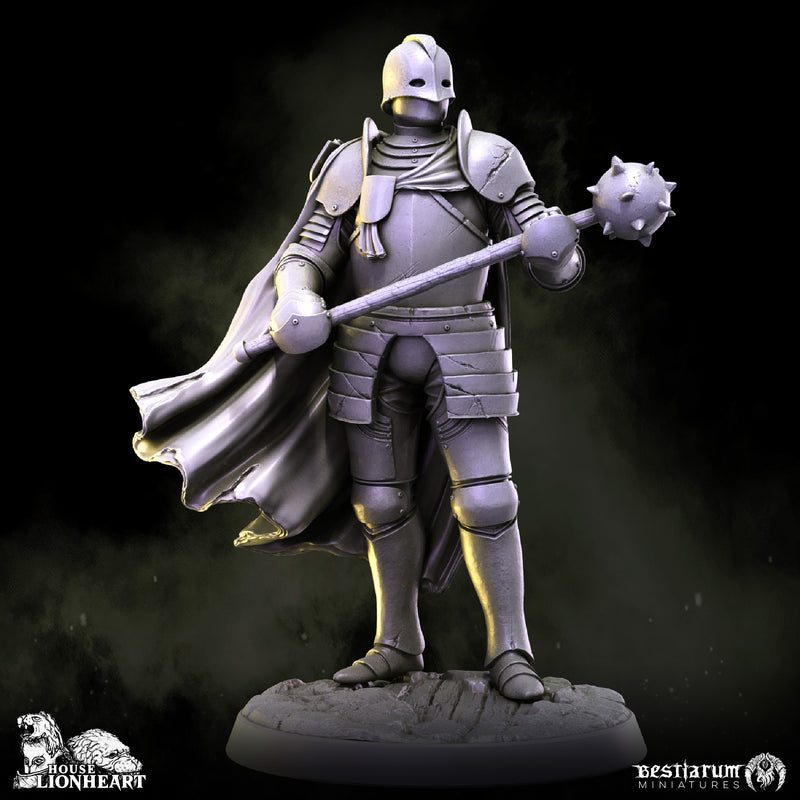 Medieval Knights Warband | Bestiarum | Wargaming DnD Miniatures - Only-Games