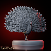 Peacock 2 - Only-Games