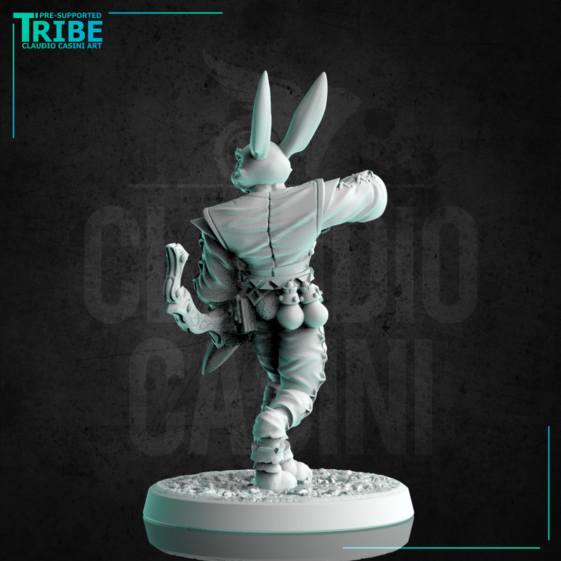 (0243) Male rabbit folk ranger rogue archer with bow - Claudio Casini ...