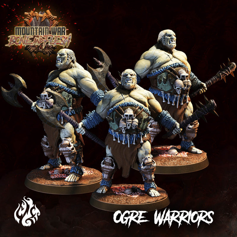 Ogre Warriors - Only-Games