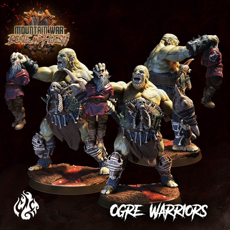 Ogre Warriors - Only-Games