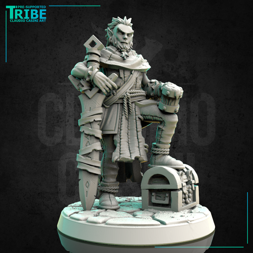 (0207) Male human tiefling firbolg half-orc elf brigand warrior with a sword - Only-Games