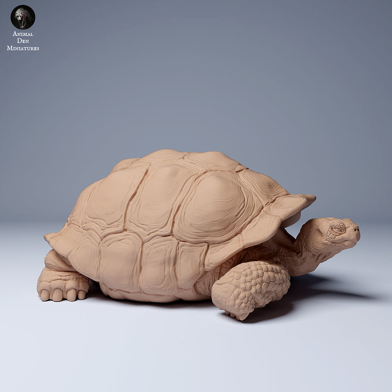 Galapagos Giant Tortoise Lying 1/87