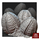 Abominations Eggs - Only-Games