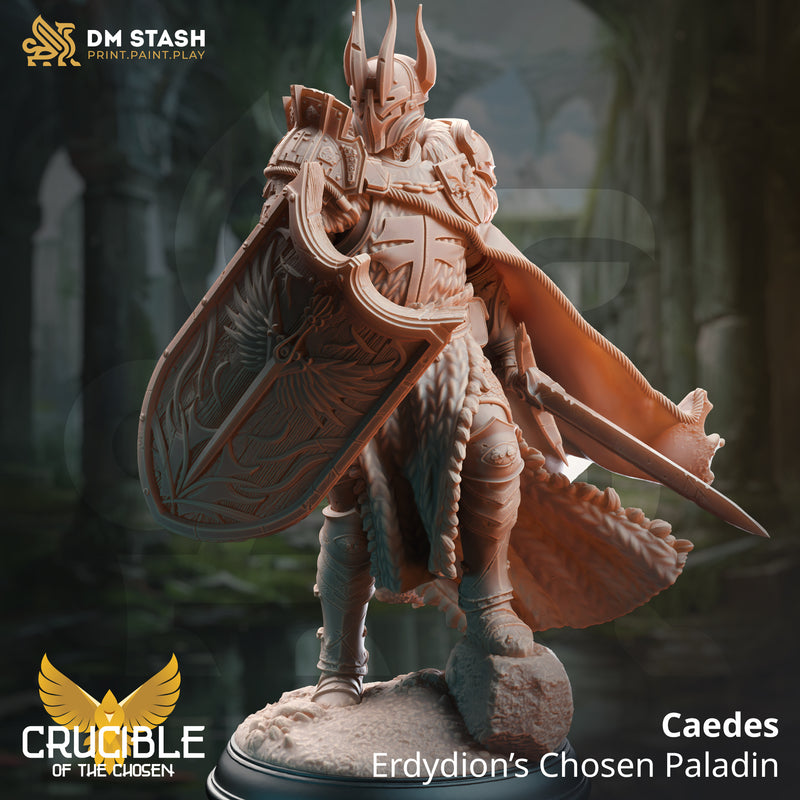 Crucible of the Chosen (DM Stash Apr '24 Bundle) - Only-Games