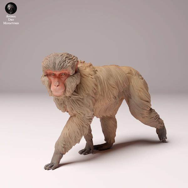 Japanese Macaque 1/87