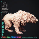 Were Bear - Only-Games