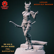 Loolea - Wood Elf Ranger - Only-Games