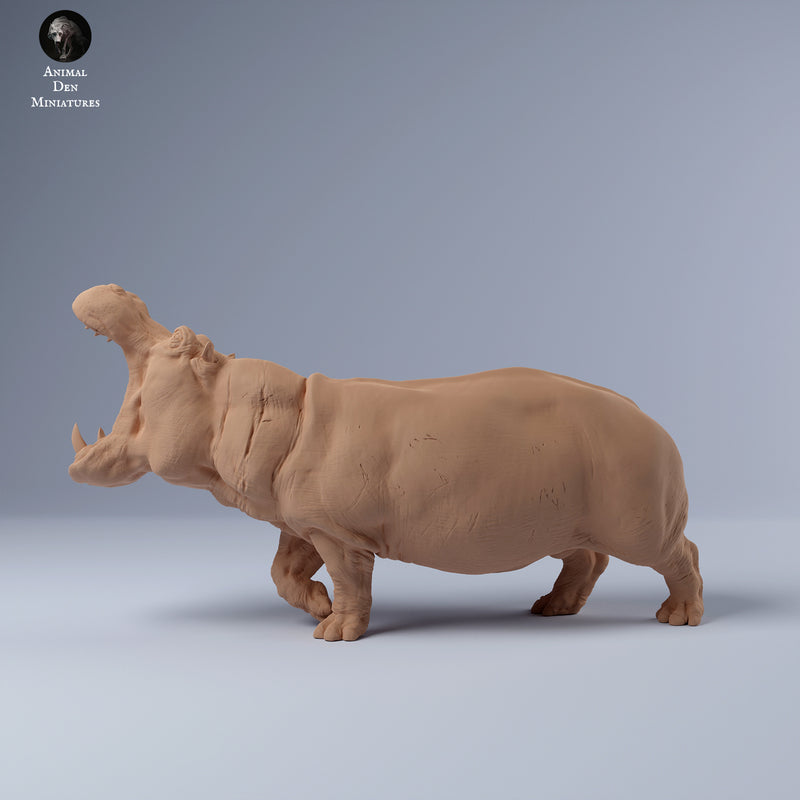 Hippo 1/43 - Only-Games