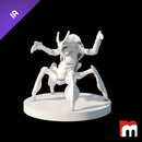 (IA) Colicoid - Only-Games